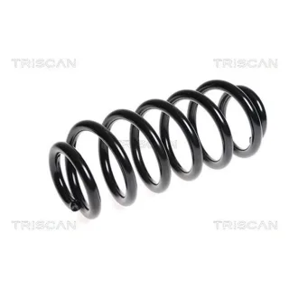 Triscan Feder vorne Audi A6 C6 875029225