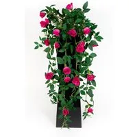 Kunstranke Rosenranke 62cm ZF Kunstpflanzen Kunstblumen künstliche Blumen Rosen, Seidenblumen Roß, Höhe 62 cm, Fuchsia