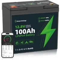 Blossom LiFePO4 Batterie 12V 100Ah mit Bluetooth SMART-BMS, Solar Batterie, Lithium Batterie für Wohnmobil, Camping, Boot und Energiespeicherung