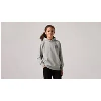 Levi's® Kids Kapuzensweatshirt LVB MODERN CREST HOODIE for Boys