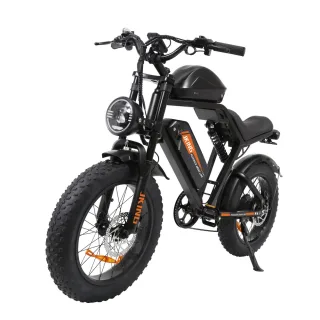 [EU Direct] JKING FXH-002 Pro Electric Bike 48V 20.3AH*2 Dual Battery 1000W Motor Recommended Top Speed 25KM/H 20inches