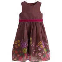 Next Tüllkleid Festliches Kleid mit floralem Muster (1-tlg)