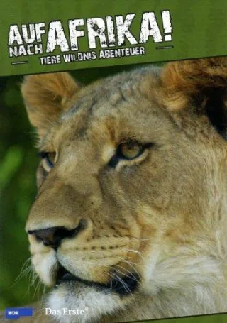 Auf nach Afrika! - Tiere Wildnis Abenteuer Vol. 4