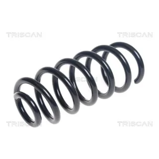 Triscan Feder hinten Renault Clio 4 875025136