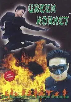 Green Hornet - Die Rückkehr der grünen Hornisse 1994 [DVD]
