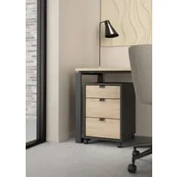 Home affaire Rollcontainer Sign Rollwagen Rollschrank verschiebarer Transportbehälter, Zweifarbiges Design, 3 Schubladen, verschiebbar, Höhe 60 cm