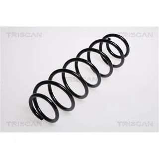 Triscan Feder hinten VW Lupo 6X 1,2 Tdi 3L