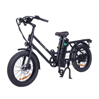 [EU DIRECT] GOGOBEST GF200 48V 15.6AH 500W Recommended Top Speed 25KM/H 20 Inch Electric Bicycle 80KM Mileage Range Max