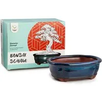HappySeed Pflanzschale Bonsai Schale aus Keramik in Marineblau - 15 x 5,5 x 11 cm (klein)