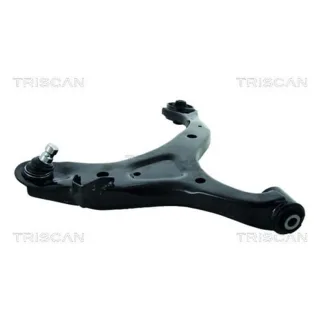Triscan Querlenker vorne links Hyundai Santa Fe 2
