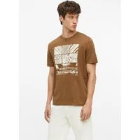 s.Oliver Kurzarmshirt T-Shirt Baumwoll-T-Shirt mit Frontprint