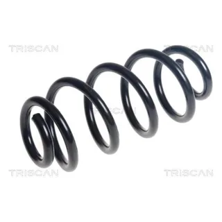 Triscan Feder hinten BMW X1 875011268