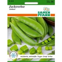 SAMEN PFANN Gemüsesamen Zuckererbse, Delikett - Erbsen-Samen Saatgut Samen, Pisum sativum