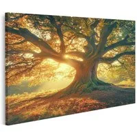 islandburner Leinwandbild, Wunderschöne Alte Eiche Baum im Sonnenlicht