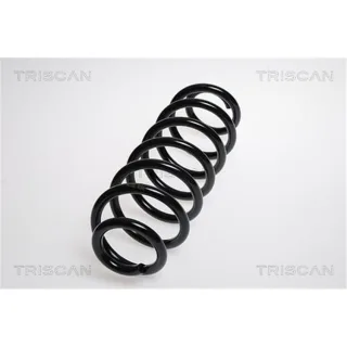 Triscan Feder Hinten VW Passat Tiguan