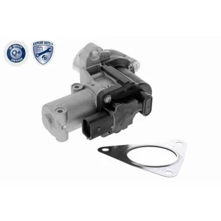 Ackoja AGR-Ventil + Dichtung Hyundai Grand Ix35 Santa Kia Sorento Sportage
