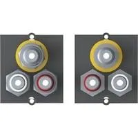 Custom Modul 1x Video + Cinch Stereo BVM-1 schwarz, für Tischsteckdosen