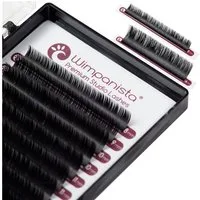 Wimpanista Einzelwimpern Easy Fan Lashes C Curl 0.07mm Mix 8-14 mm, 1 tlg., Für die professionelle Wimpernverlängerung