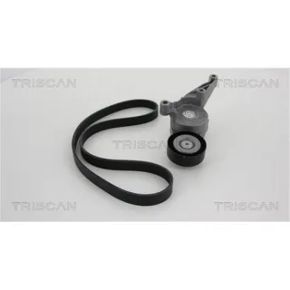 Triscan Keilrippenriemensatz Audi Ford Seat Skoda VW