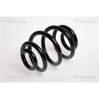 Triscan Feder hinten BMW 3er E46 87501145