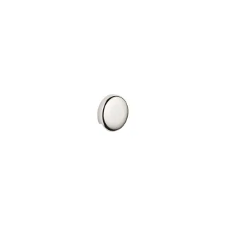 Dornbracht Rohrunterbrecher SERIENNEUTRAL 36150970 Platin 36150970-08