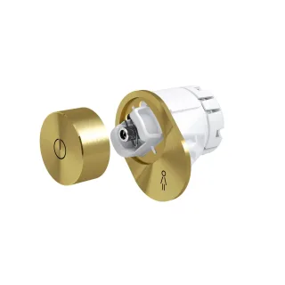LAUFEN Controller mit Drehknopf 164 gold, H8956981640001 H8956981640001