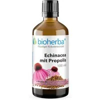 BIOHERBA R Bioherba Echinacea mit Propolis Tropfen Tinktur 100 ml Nahrungsergänzungsmittel, 1 er