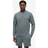 Superdry Sweatshirt MICRO LOGO CREW mit Micro-Marken-Logo