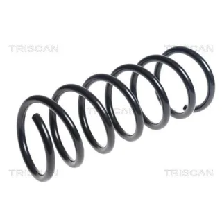 Triscan Feder hinten Volvo S60 2,0