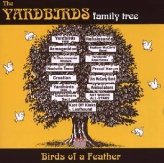 Birds of a Feather