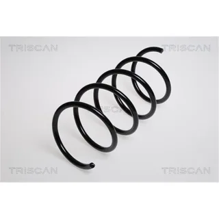 Triscan Feder vorne Mercedes A-Klasse W168 87502335