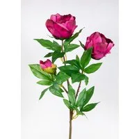 Kunstblume Pfingstrose Nature 68cm GA Seidenblumen künstliche Blumen Päonie, Seidenblumen Roß, Höhe 68 cm, Fuchsia