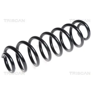 Triscan Feder hinten Skoda Octavia Yeti VW Golf Touran