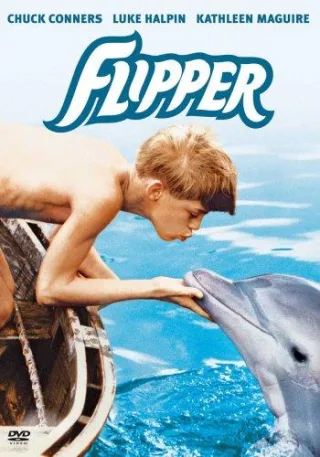 Flipper [DVD] [2007]