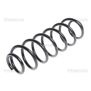 Triscan Feder hinten Seat Ibiza