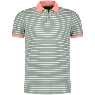 New Zealand Auckland Minarets Polo Grun