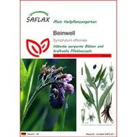 SAFLAX Blumensamen SAFLAX - Samen - Beinwell