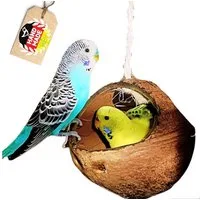 halmland Vogelspielplatz Kokosschaukel für Vögel – Natur Vogelschaukel & Zubehör
