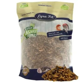 Lyra Pet Protein Boost Insekten Mix - mit Mehlwürmern, Shrimps & Grashüpfern 1 kg