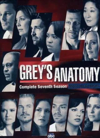 Grey's Anatomy: Complete Seventh Season - [Region 1] [NTSC] [US-Import] [DVD]