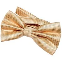 DonDon Fliege DonDon Herren Fliege 12 x 6 cm gebunden (Packung, 1-St) bereits gebunden, verstellbar, Seidenlook