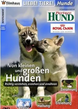 Liebe Tiere ! - Hunde: Von kleinen und großen Hunden