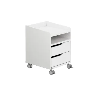 Rollcontainer PAIDI 2S