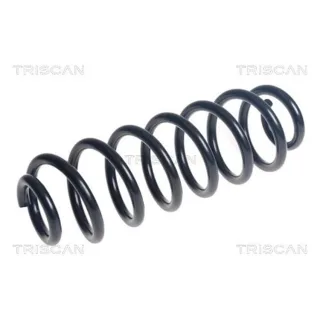 Triscan Feder hinten VW Passat B6