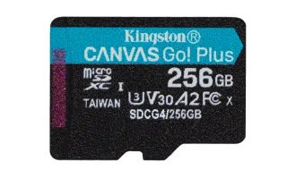 Kingston Canvas Go! Plus | sdcg4/256gbsp | Flash-Speicherkarte