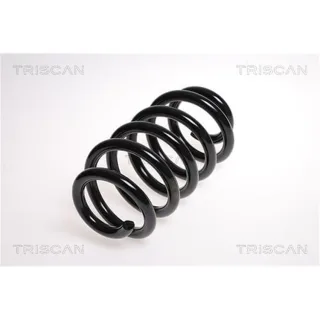 Triscan Feder vorne Audi A4 Seat Exeo