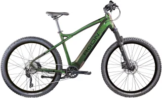AGON "Alpha" 10 Gang Deore SGS T6000 Schaltwerk Kettenschaltung Heckmotor 250 W Pedelec, Elektrofahrrad für Damen u. Herren, MTB