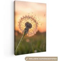 OneMillionCanvasses® Leinwandbild Löwenzahn - Sonnenuntergang - Feld, Fotodruck (1 St), Leinwand Canvas Wandbild, Wanddekoration 20x30 cm