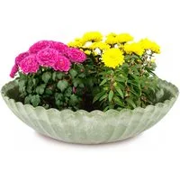 matches21 HOME & HOBBY Blumentopf Runde Pflanz-Schale gewellt für draussen grün marmoriert 28 cm (1 St), Wetterfeste Blumen-Schale als moderne Outdoor Gartendeko Grabschmuck