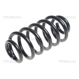 Triscan Feder hinten Chevrolet Trax Opel Mokka 875024200